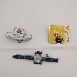 Vintage Collector Pins